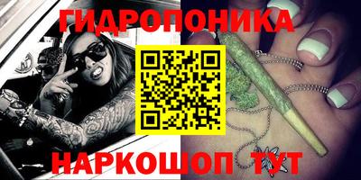 эйфоретик Будённовск