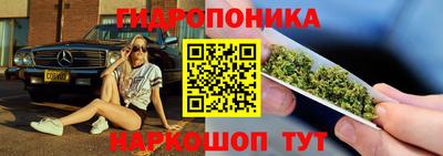 эйфоретик Будённовск