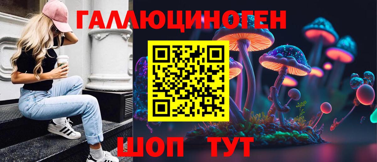 Галлюциногенные грибы Psilocybe  Вход с VPN  купить наркотик  Отрадный 